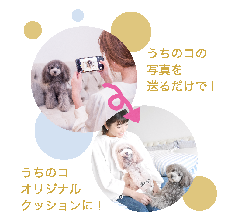 うちのコの写真を送るだけで!うちのコオリジナルクッションに！